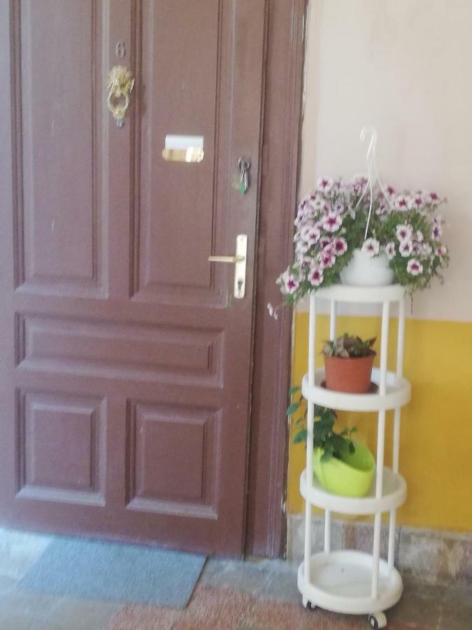 Galeria Apartman Сегед Экстерьер фото